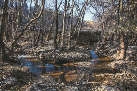 Ανοχύρωτη η αττική γη μετά τις πυρκαγιές