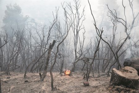 Πυρκαγιές – Τα έκτακτα μέτρα για την προστασία και την αποκατάσταση του φυσικού περιβάλλοντος