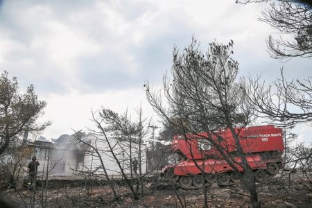 Ετσι κάηκαν εφέτος τα ελληνικά δάση | tovima.gr