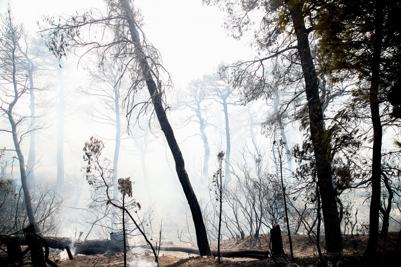 Πατούλης – Να διερευνηθεί πώς ξέσπασαν οι νέες φωτιές στα Βίλια