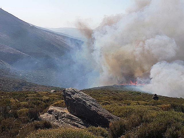 Εμπρησμό για τη φωτιά στην Κάρυστο «έδειξε» ο Γιάννης Οικονόμου | tovima.gr