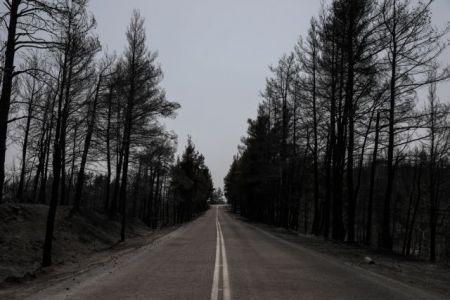 Στηρίζει τους πυρόπληκτους η ΠΕΔ Πελοποννήσου