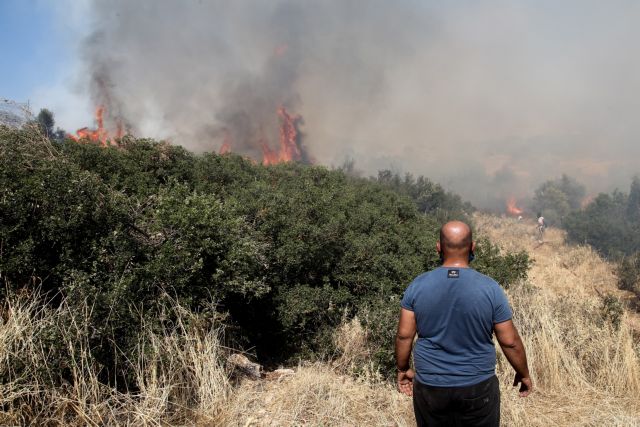 Βίλια – Σε ύφεση η πυρκαγιά – Συνεχίζουν να επιχειρούν ισχυρές πυροσβεστικές δυνάμεις | tovima.gr