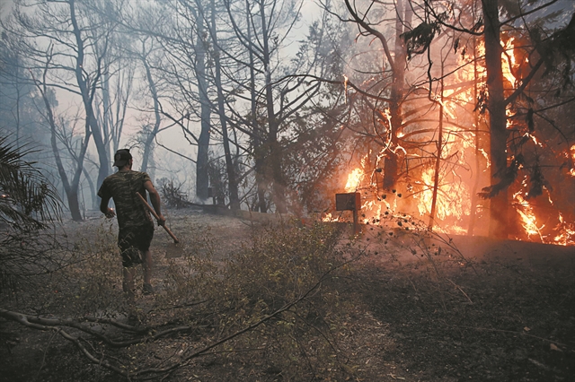 Φωτιές – Συγκλονίζουν οι εθελοντές – «Προτιμώ να μην έχω να φάω, παρά να τους αφήσω έτσι»