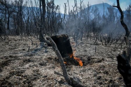 Meteo: Αύξηση 750% στις δασικές πυρκαγιές το πρώτο τρίμηνο του 2022