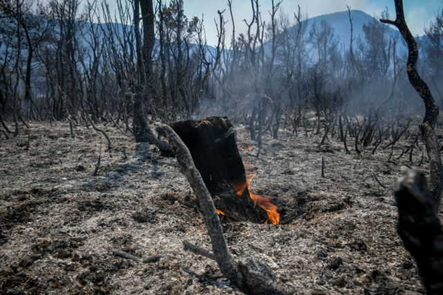 Τριάντα τέσσερις δασικές πυρκαγιές το τελευταίο 24ωρο | tovima.gr