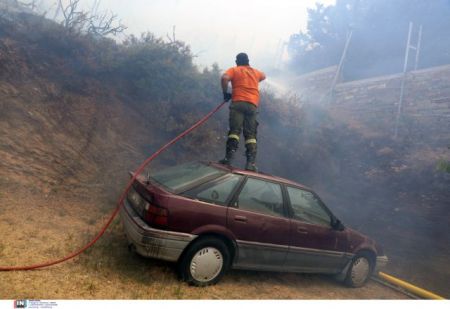 Θλιβερό ποσοστό – To 1/3 των δασών της Εύβοιας κάηκε από την πρόσφατη πυρκαγιά