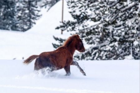Μερομήνια – Έρχεται πολύ «βαρύς» χειμώνας