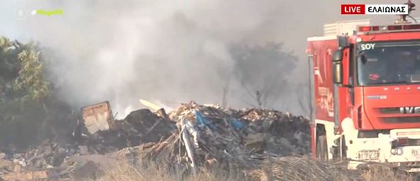 Φωτιά στον Ελαιώνα – Έχει περιοριστεί το μέτωπο – Πού έχει διακοπεί η κυκλοφορία