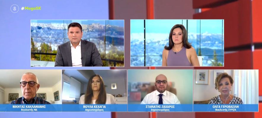 Γεροβασίλη για Πλεύρη – Η υπουργοποίηση του μας κάνει διεθνώς ρεζίλι