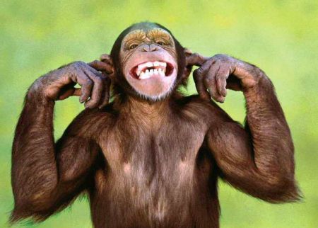 Σε μια χώρα γεμάτη… μαϊμούδες, τα λαμόγια κάνουν πάρτι και τα κόμματα τους καλύπτουν