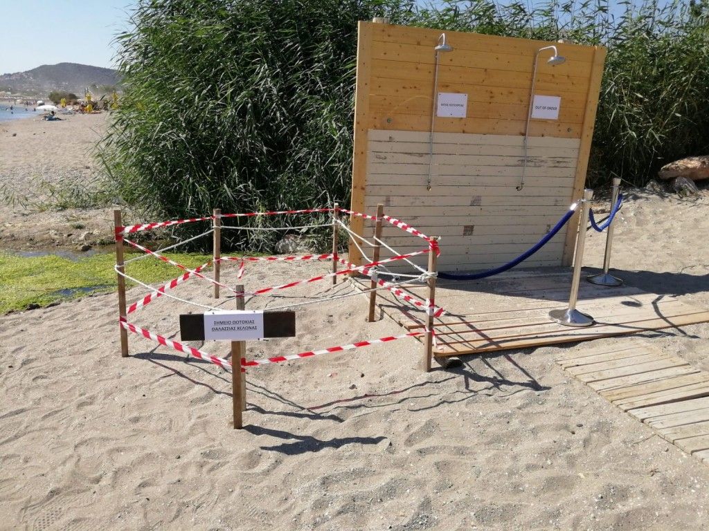 Έπιασαν τόπο οι άμεσες ενέργειες προστασίας της φωλιάς θαλάσσιας χελώνας