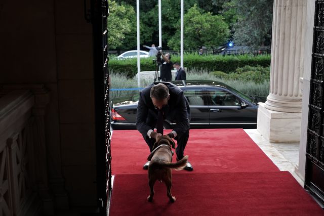 Η ανάρτηση Μητσοτάκη για την υιοθεσία ζώων και το… ταλέντο του Peanut να κλέβει καρδιές