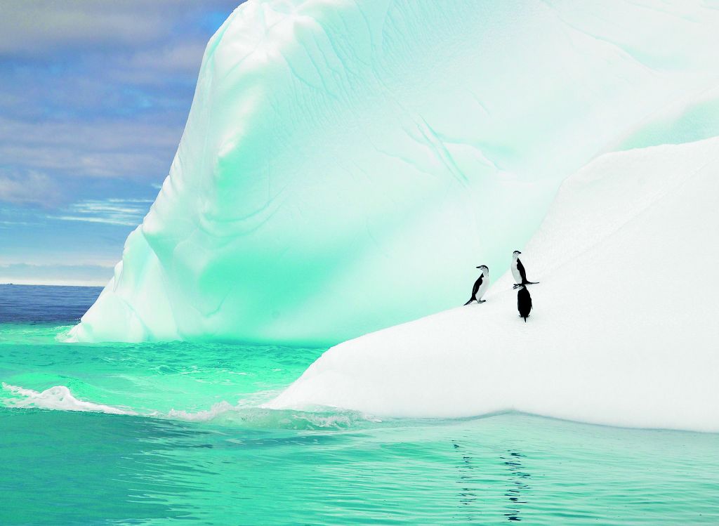 Η κλιματική αλλαγή ευνοεί και τις πανδημίες; – Ο Χρήστος Ζερεφός εξηγεί