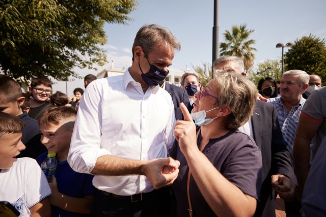 Οι γαλοπούλες που φοβούνται τα Χριστούγεννα