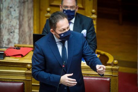 Βουλή – Ψηφίστηκε εν μέσω εντάσεων το νομοσχέδιο για τα ζώα συντροφιάς