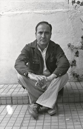 Το κελί της ευαισθησίας