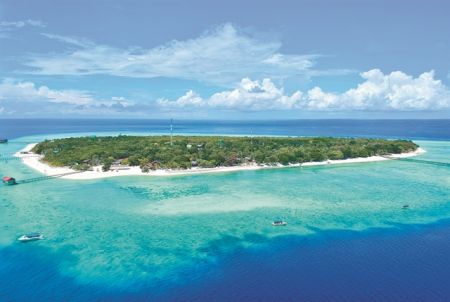 Το ταξίδι της… ρουμπινοφόρου πεταλούδας