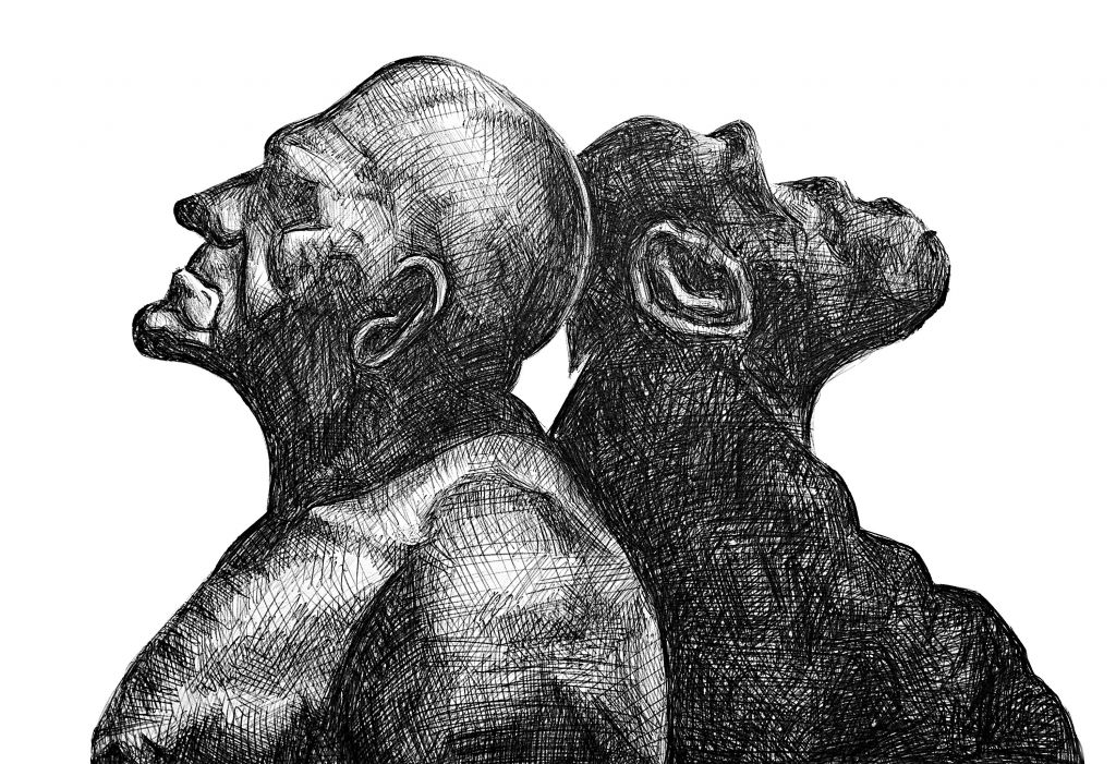 Δαρβινικές αναζητήσεις