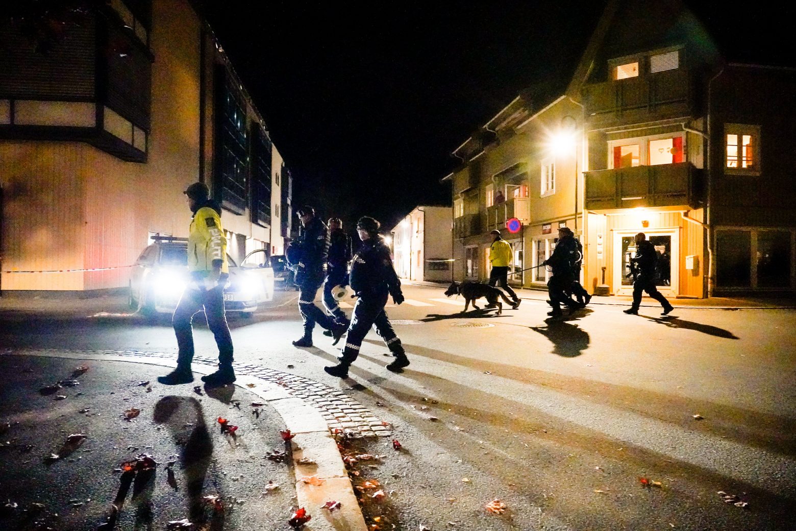 Νορβηγία – Τουλάχιστον πέντε νεκροί από την επίθεση τοξοβόλου – Δεν αποκλείεται τρομοκρατική επίθεση