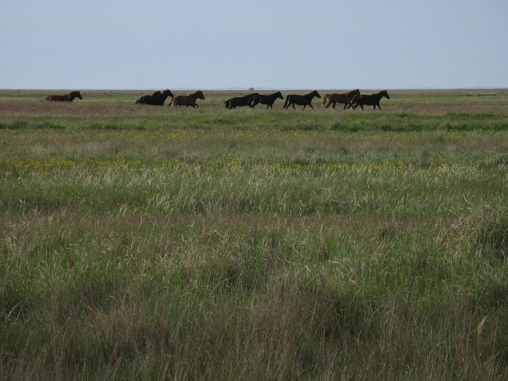 Η ελληνική γλώσσα στο διάβα του χρόνου – Η θεωρία περί εξάπλωσης των Ινδοευρωπαίων από την περιοχή του Δούναβη
