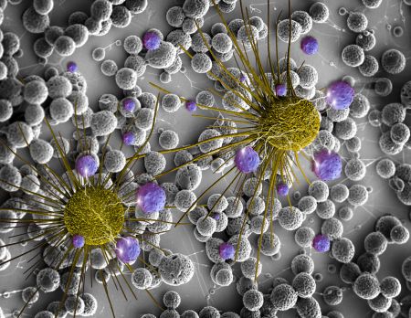 Οι βιοδείκτες προβλέπουν την έκβαση ογκολογικών θεραπειών