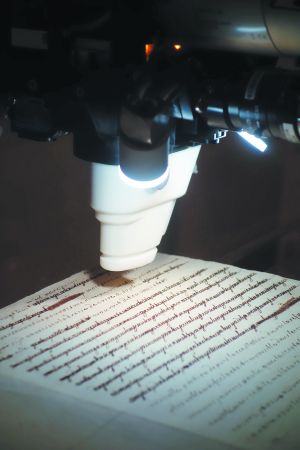 Μυστικά αιώνων στο φως: Τι αποκαλύπτουν οι επιστολές της Μαρίας Αντουανέτας