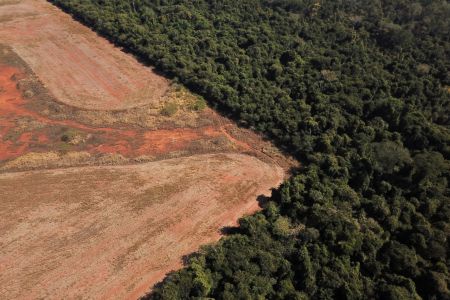 COP26 – O Μπολσονάρου «θα ζητήσει αποζημίωση» για να μην καταστρέφει τον Αμαζόνιο