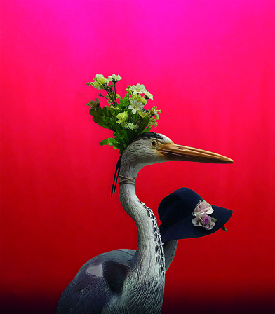 Αρνό Φαμπρ, «Eμπιστοσύνη στο αυθόρμητο»