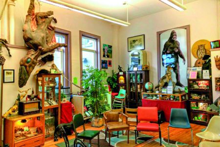 Τα πιο ασυνήθιστα μουσεία του κόσμου