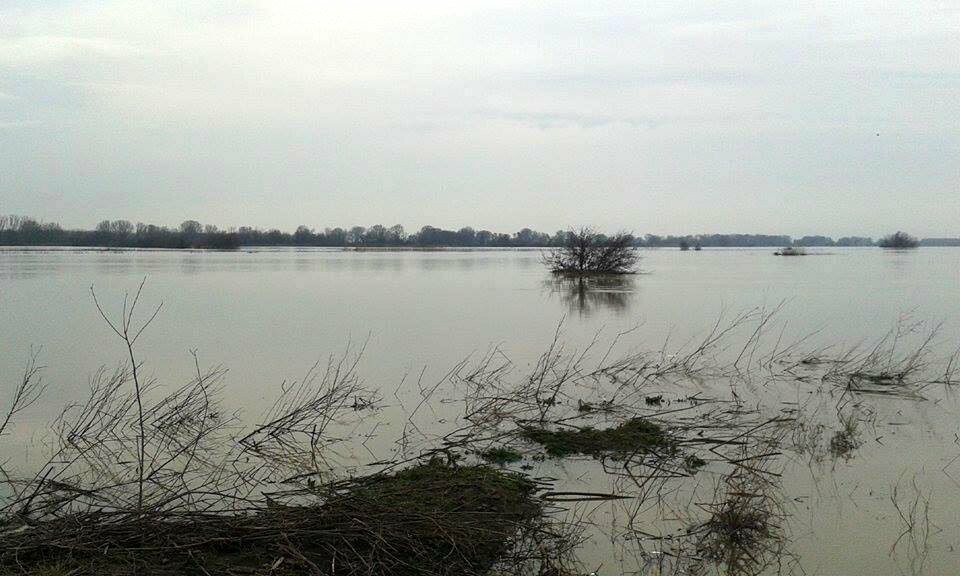 Ποια σύνορα – Οι αναλυτικές οδηγίες Τούρκου για όποιον θέλει να περάσει από τον Εβρο στην Ελλάδα