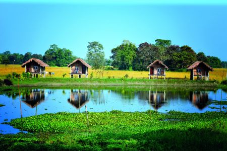 Ασαμ, Περιπλάνηση στην κουλτούρα του τσαγιού