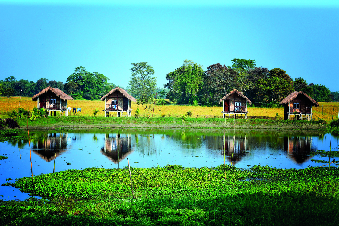 Ασαμ, Περιπλάνηση στην κουλτούρα του τσαγιού
