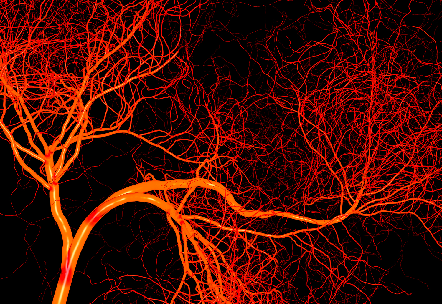 Κορωνοϊός – Αποκαλύφθηκαν οι ιικές πρωτεϊνες που καταστρέφουν τα αγγεία