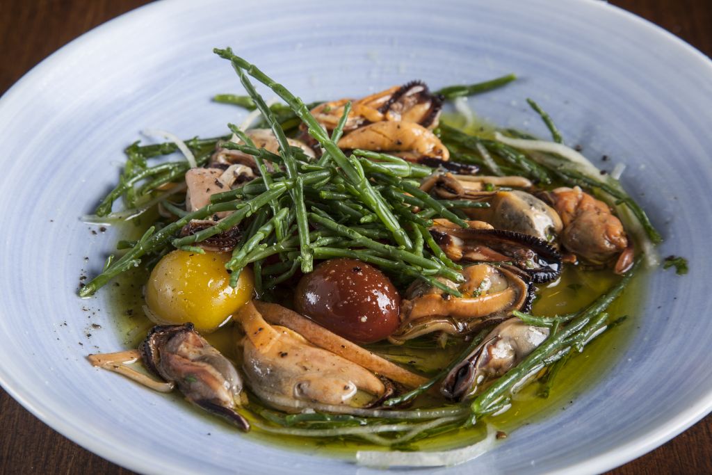 Σαλάτα με φρέσκια μυδόψιχα και σαλικόρν