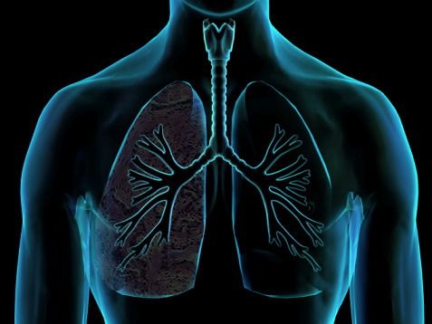 Σχέδιο έγκαιρης διάγνωσης καρκίνου πνεύμονα μελετά το υπουργείο Υγείας | tovima.gr