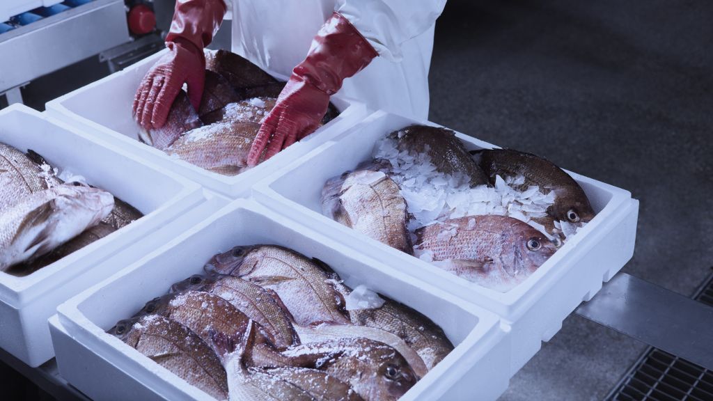 Ιχθυοκαλλιέργειες – Αλήθειες και μύθοι σε μια θάλασσα από πληροφορίες