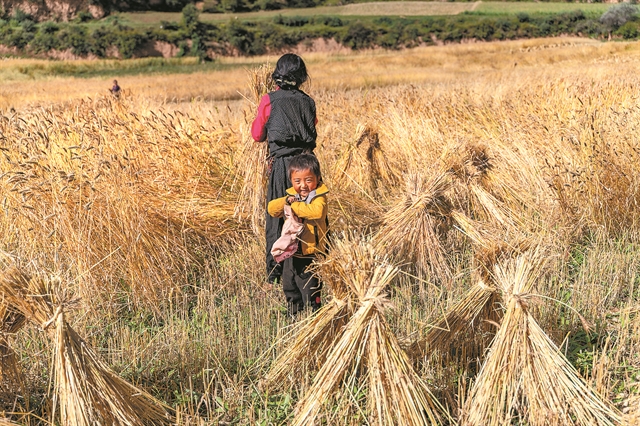 Οι ρίζες των αλταϊκών γλωσσών