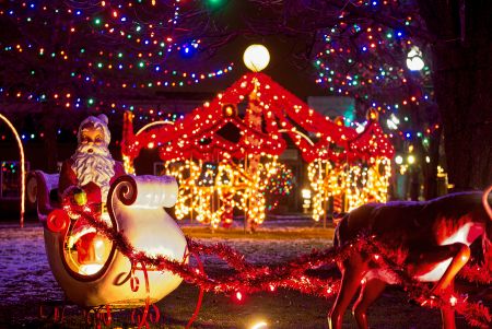 COVID-19 Committee: Mandatory PCR test for illness certificate, vax at Christmas theme parks