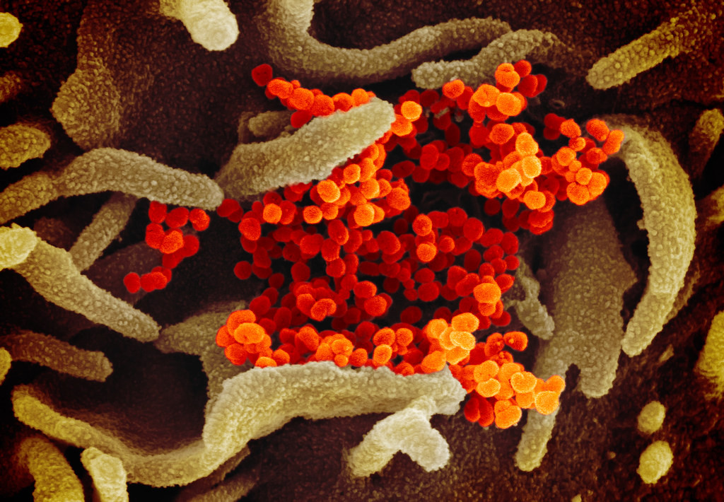 Κορωνοϊός – Τα εμβόλια mRNA προάγουν εμμένουσα ανοσολογική μνήμη έναντι του SARS-CoV-2