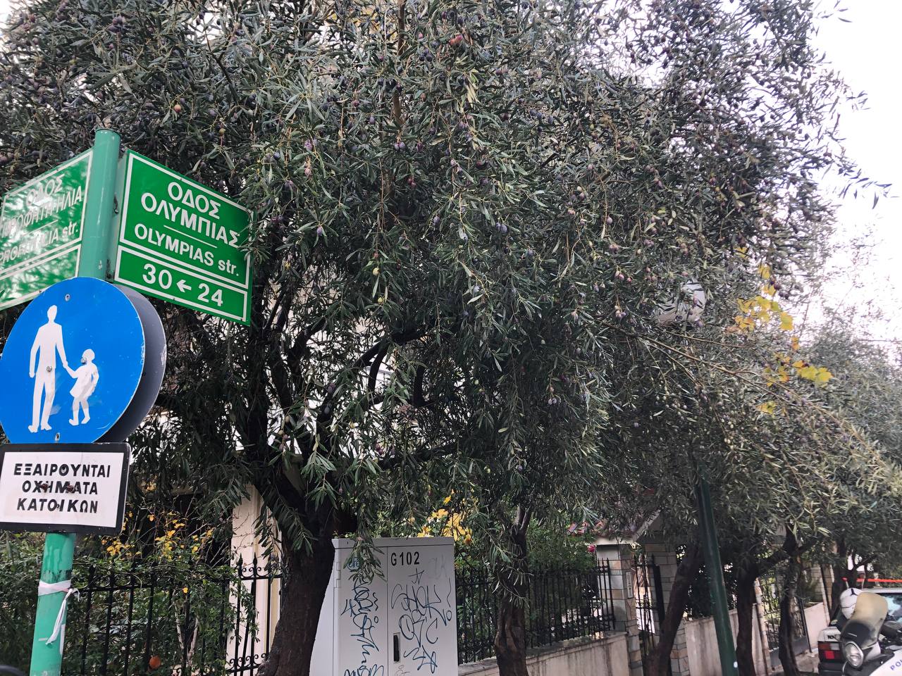 Οικογενειακή τραγωδία στο Νέο Ηράκλειο – Εν αναμονή του πορίσματος του ιατροδικαστή – Τι είπε ο πατέρας των αδερφών σε γείτονα