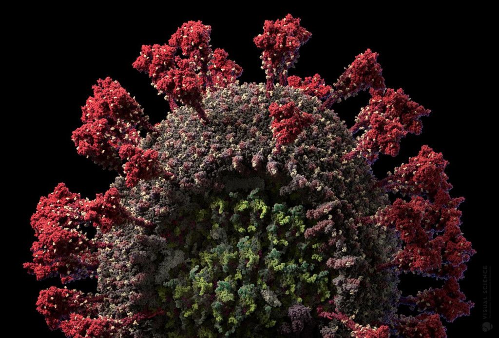 Κορωνοϊός – Ο γλωσσικός Τρωικός Πόλεμος της μετάλλαξης