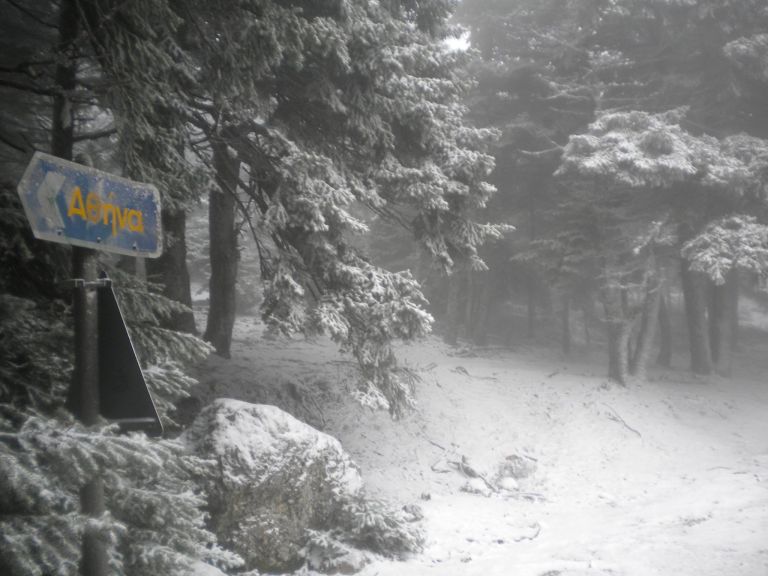 Πάρνηθα – Διακοπή κυκλοφορίας λόγω χιονόπτωσης | tovima.gr
