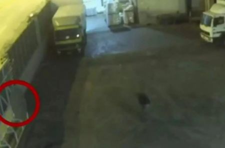 Κερατσίνι – Σοκάρει η ιατροδικαστική έκθεση για τον θάνατο της 8χρονης – Τα αναπάντητα ερωτήματα