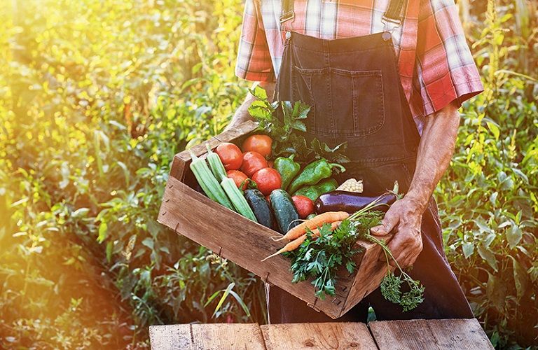Πήρε ΦΕΚ η βιολογική γεωργία – Το ύψος της ενίσχυσης για κάθε καλλιέργεια | tovima.gr