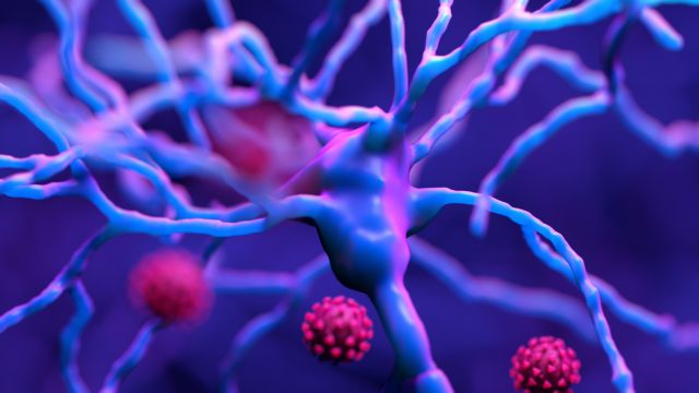 Κορωνοϊός – Μπορεί να εξαπλωθεί σε καρδιά και εγκέφαλο μέσα σε λίγες μέρες – Τι δείχνει νέα μελέτη