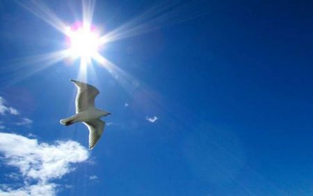 Αίθριος καιρός με υψηλές θερμοκρασίες την Τρίτη – Βροχές από την Τετάρτη