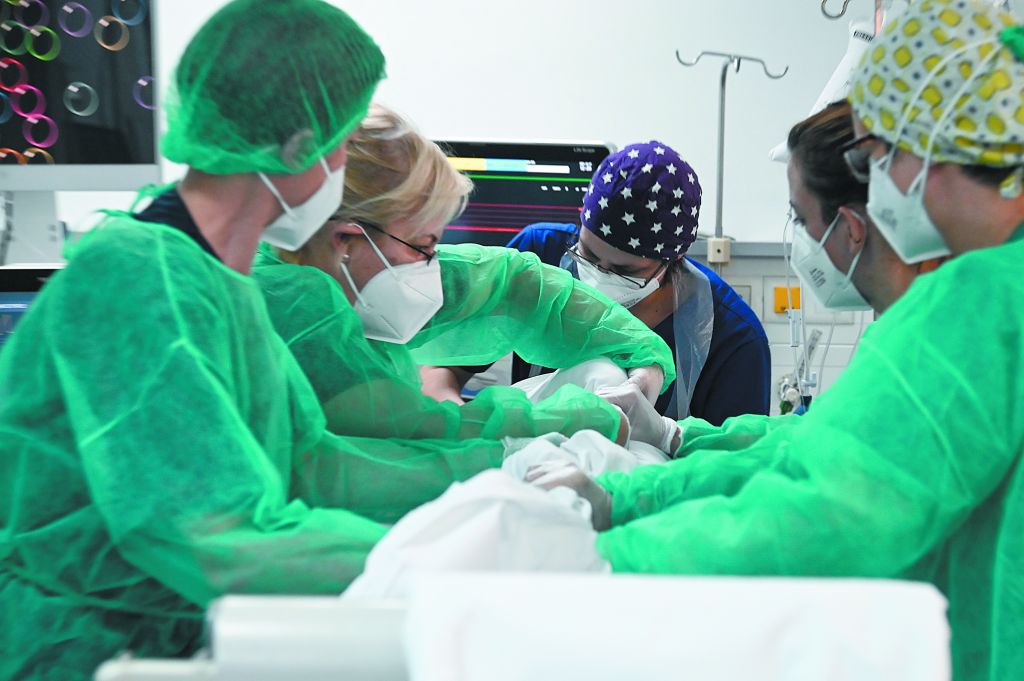 Κορωνοϊός – Προς… μεταλλαγμένη κανονικότητα ή μπροστά σε νέα στελέχη; – Τα σενάρια