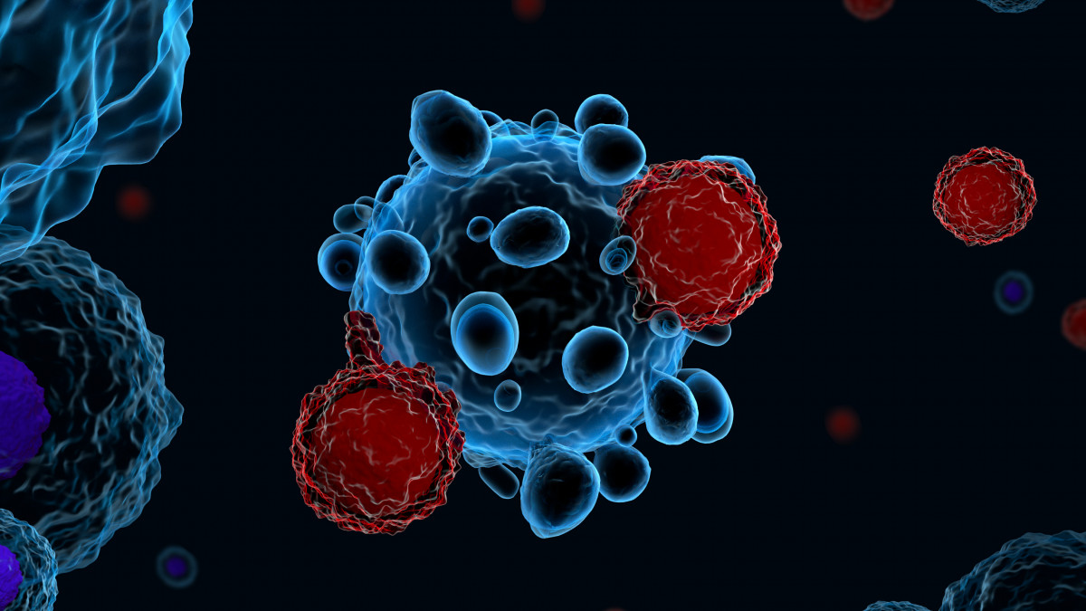 Κορωνοϊός – Πώς λειτουργούν τα Τ λεμφοκύτταρα κατά της παραλλαγής Όμικρον 