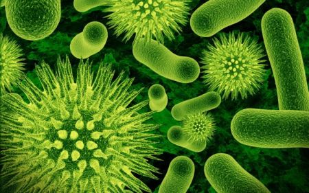 Ανθεκτικά βακτήρια – Ένας από τους μεγαλύτερους κινδύνους για την ανθρώπινη ζωή σε όλο τον κόσμο